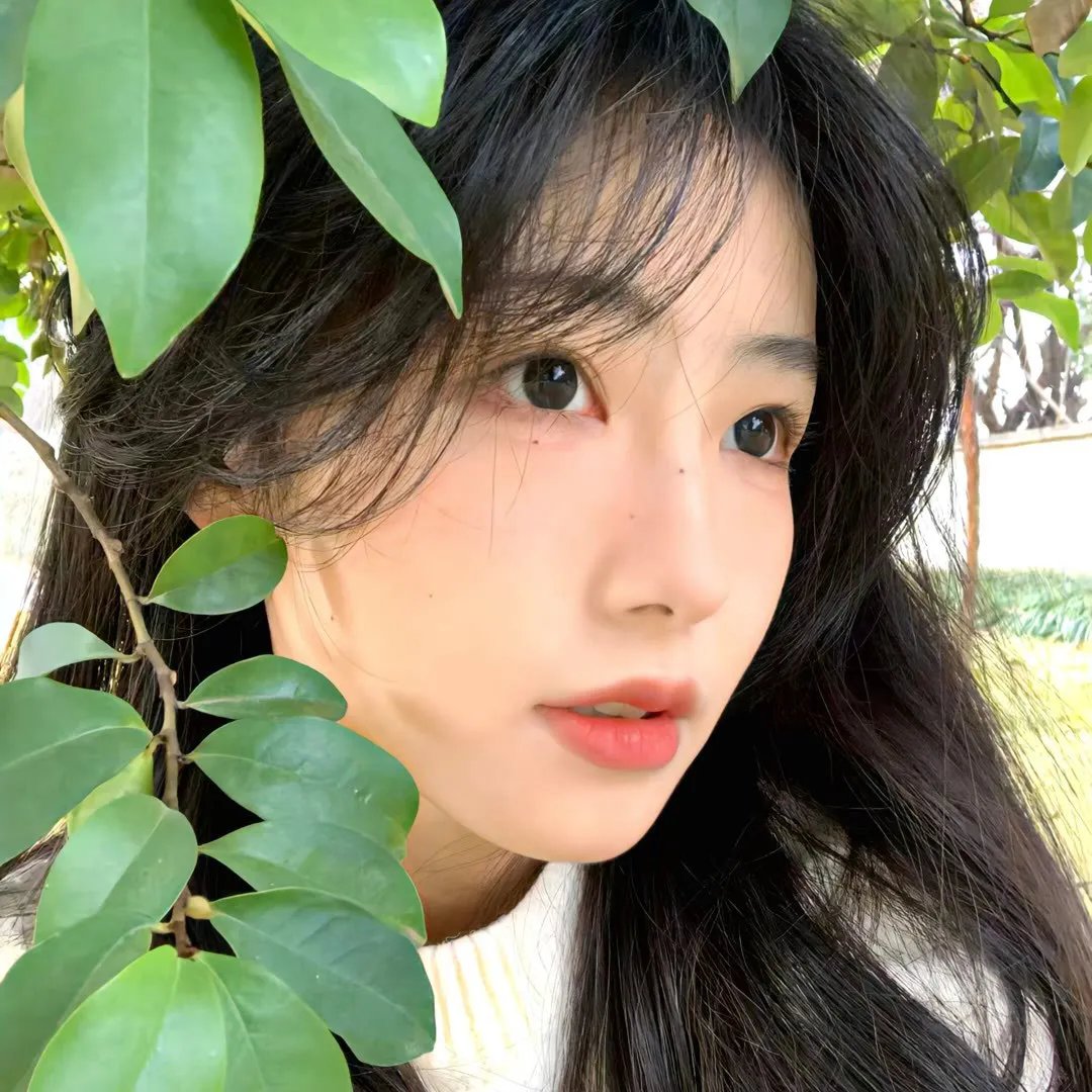 无双谱粤语 在线观看封面